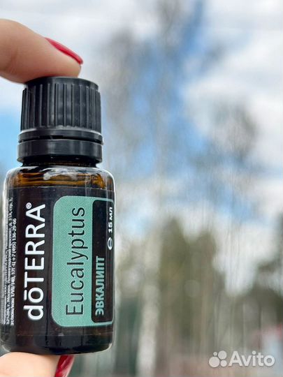 Эфирное масло Эвкалипт