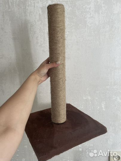 Когтеточка