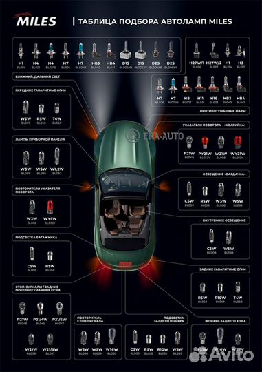 Miles BL031 Лампа H11 12V 55W PGJ19-2