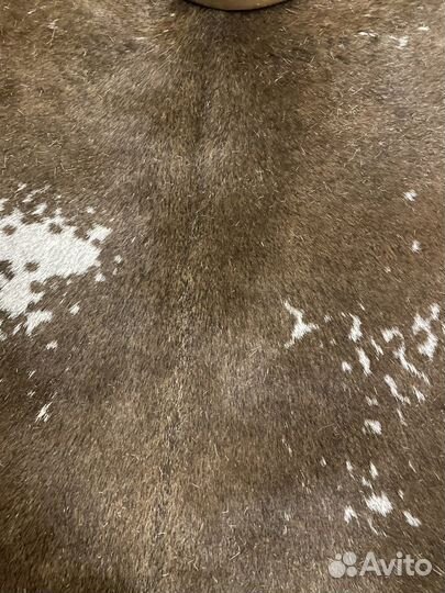 Кожа африканской козы, мембрана на джембе и бубен