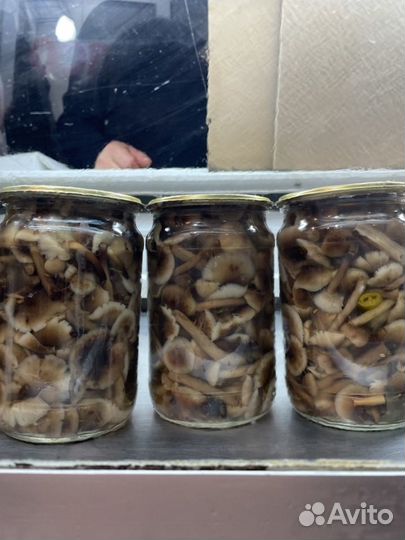 Опята маринованные