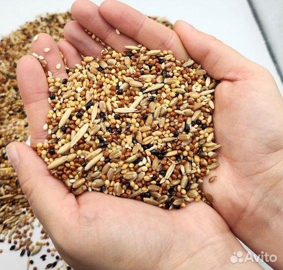 Корм для волнистых Попугаев оптом от производителя