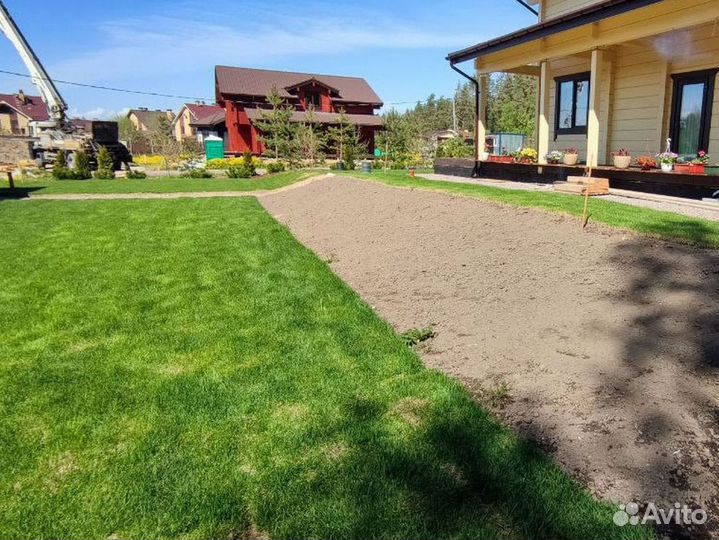 Качественный газон спорт