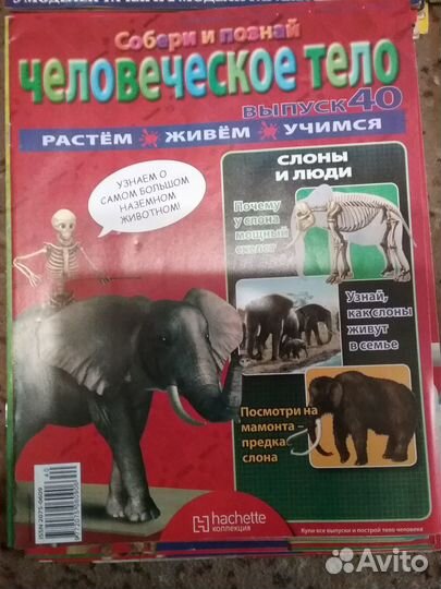 Журналы, комиксы