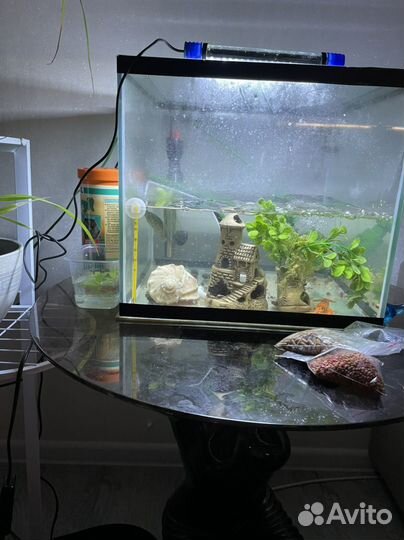 Аквариум