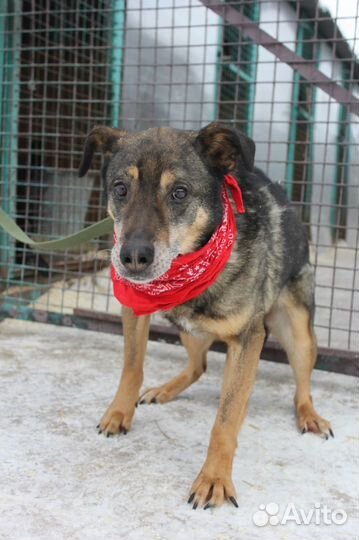 Серхио ищет теплый дом