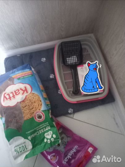 Лоток для кошек