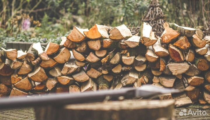 Дрова не гнелые