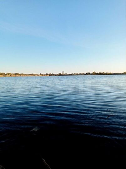 Участок 22 сот. (ИЖС)