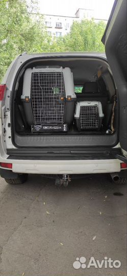 Зоотакси Москва / Перевозка / Доставка животных