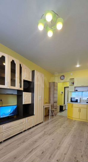 Квартира-студия, 24 м², 2/16 эт.