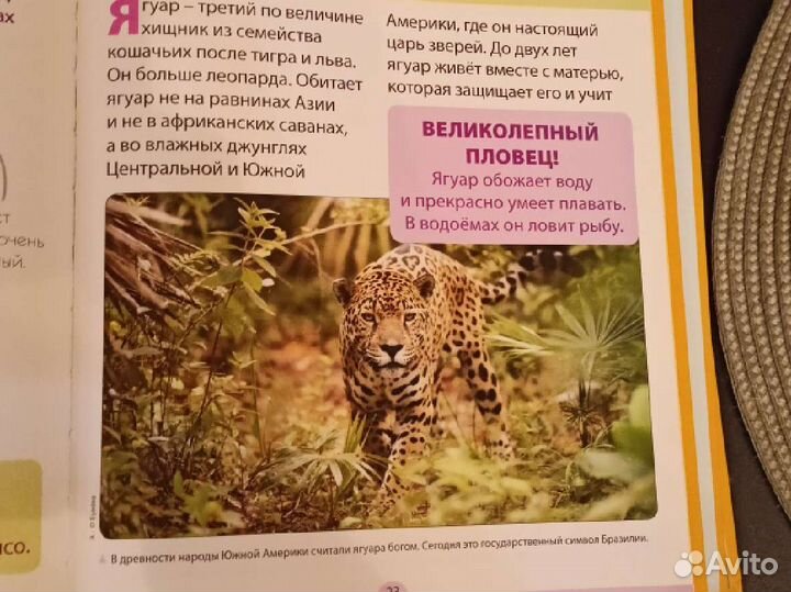 Моя веселая азбука