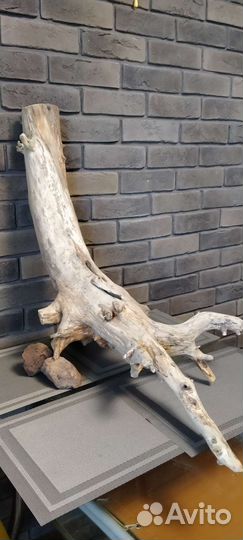 Коряги для аквариума