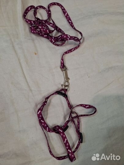 Шлейка для маленькой собаки или кошки