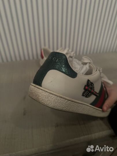 Кеды gucci оригинал