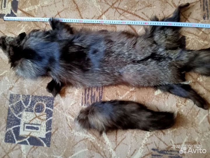 Шкура чернобурки