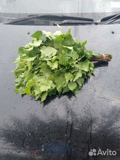 Березовые веники для бани