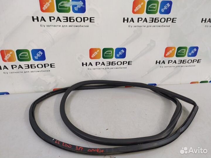 Уплотнительная резинка дверного проема задняя