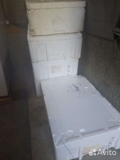 Термоконтейнер из пенопласта