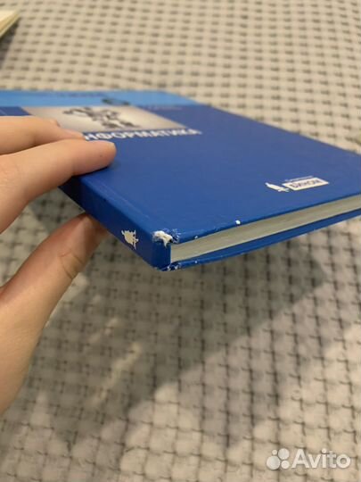 Информатика 6 класс босова