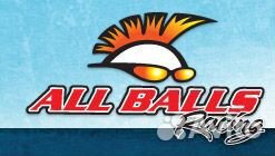 ALL balls racing 251456 Подшипник заднего колеса