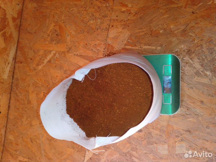 Чага березовая от сборщика