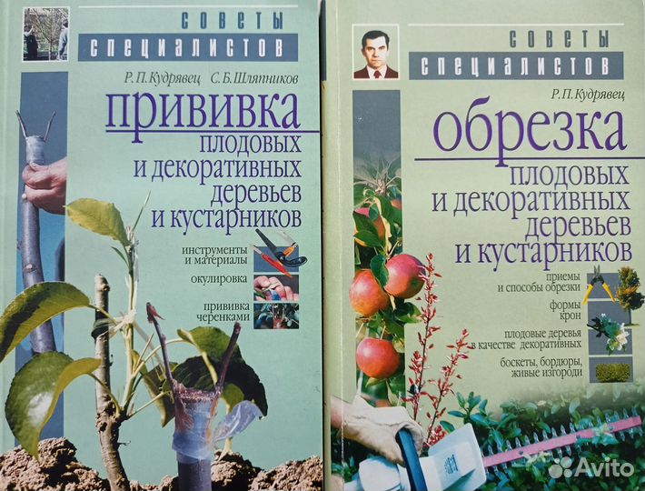 Прививка деревьев