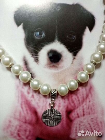 Ошейник для животных