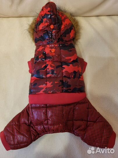 Одежда для маленьких пород собак