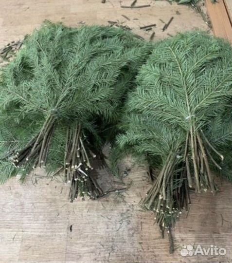 Свежие веники из пихты