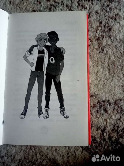 Книга леди баг