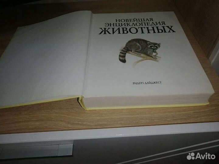 Энциклопедия