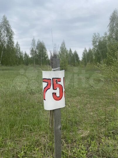 Участок 12 сот. (ИЖС)