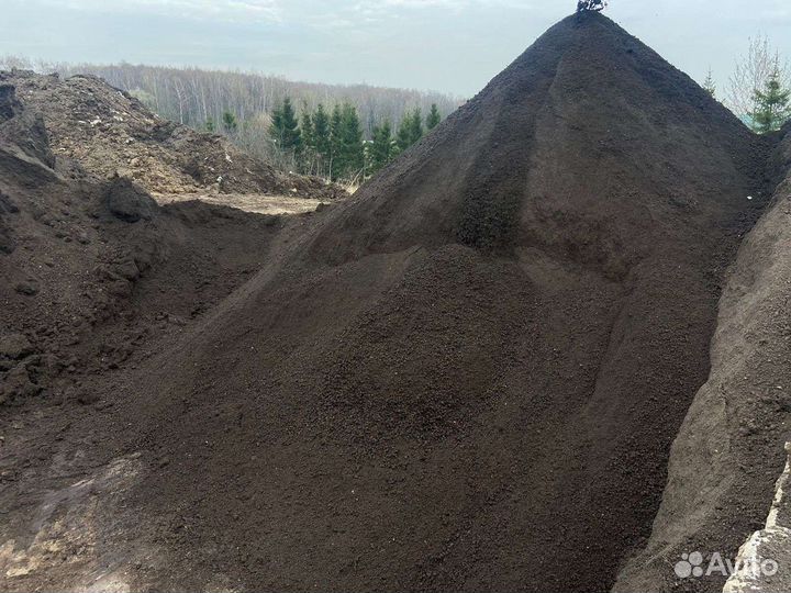 Чернозем