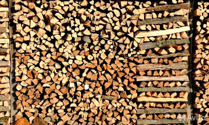 Дрова сегодня