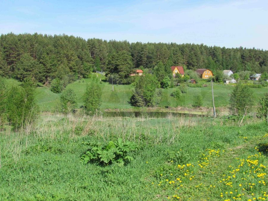 озёры деревня сосновка московская область. д озеры. город озёры московская область. город озеры коломенский район. озеры гродненского района.