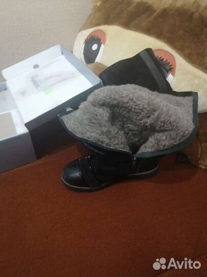 Сапоги