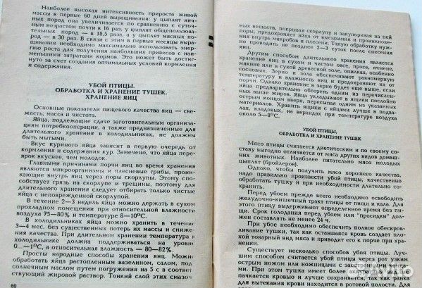 Шпиц И. Выращивание птицы в домашних условиях