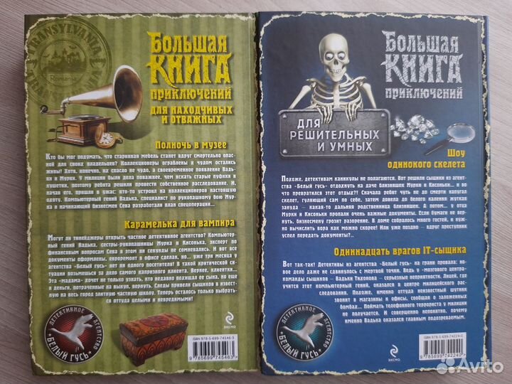 Большая книга приключений (для детей и подростков)