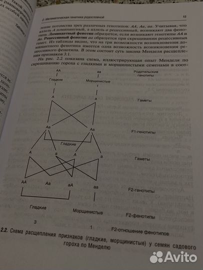 Математические аспекты генетики