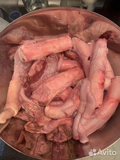 Бычий корень