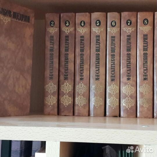 Салтыков щедрин