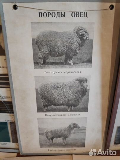 Учебные пособия семилетней школы