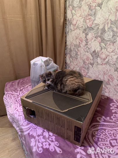 Компьютерный мастер