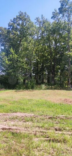 Участок 5 сот. (ИЖС)