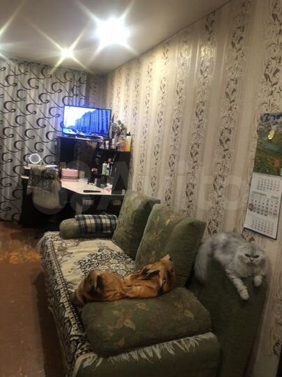 Комната 40 м² в 2-к., 3/5 эт.