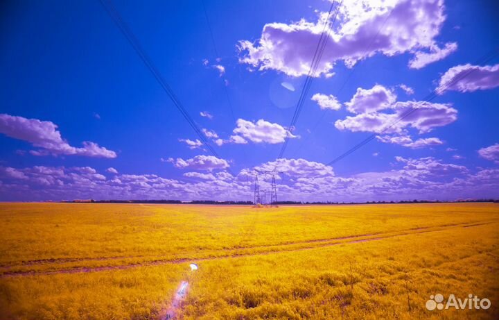 Canon 5D mark ii инфракрасный + уф