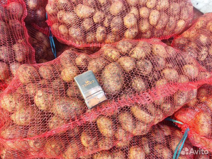 Продам картофель оптом