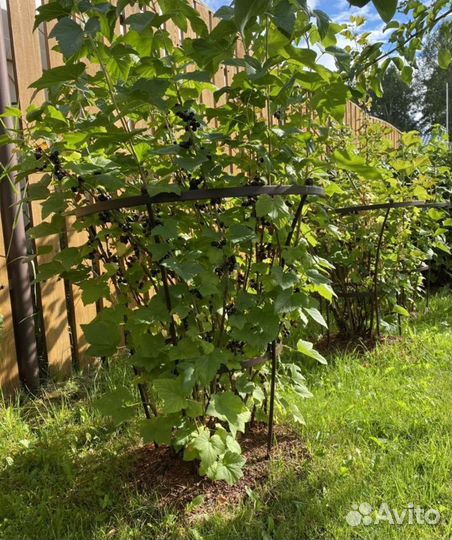 Кустодержатель(опора для кустов и цветов)