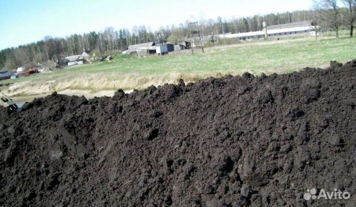 Плодородный грунт. Грунт. Чернозем